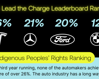 News & Articles | Cultural Survival